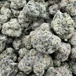 Black Runtz | 1/4 LB or 1 LB Flower